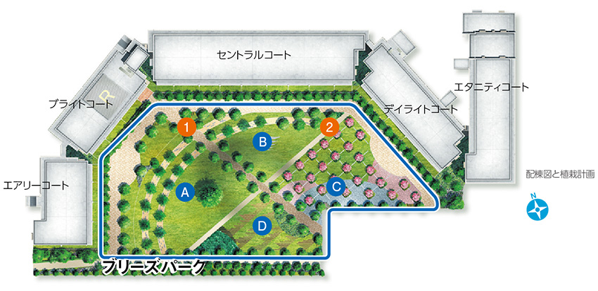 配棟図と植栽計画