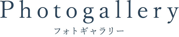 フォトギャラリー